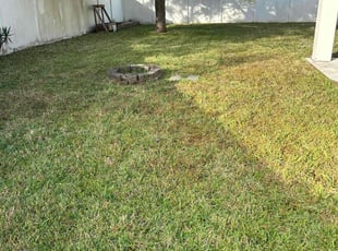 Latreasha L.'s lawn maintenance service result