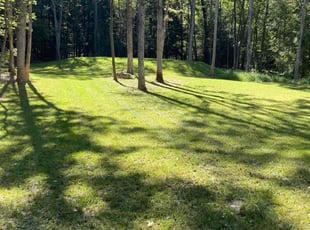 Shari L.'s turf care service result