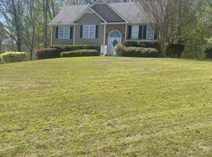 Anjelica B.'s grass maintenance service result