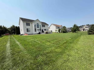 Tiffany L.'s grass cutting service result
