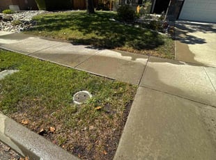 Mark R.'s lawn care services service result