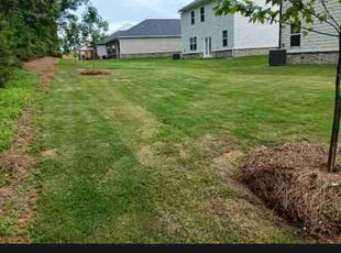 Joel M.'s turf maintenance service result