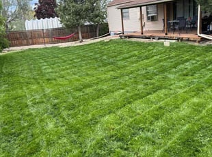 Laura K.'s lawn service service result