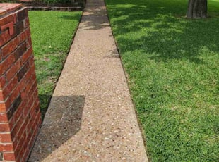 Ben R.'s turf care service result