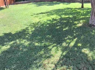 Jimmie G.'s turf maintenance service result