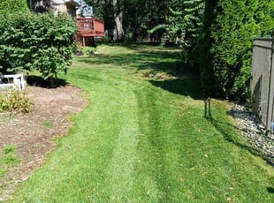 Ryan R.'s turf care service result