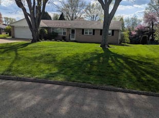 Luna M.'s lawn service service result