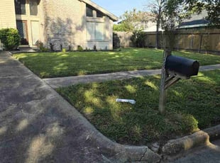 Pat D.'s turf care service result