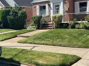 Marcin P.'s lawn service service result
