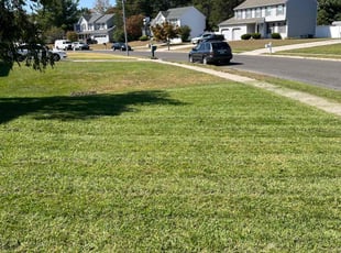 Joseph S.'s turf care service result