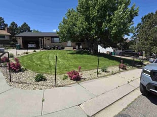 Danielle N.'s lawn maintenance service result