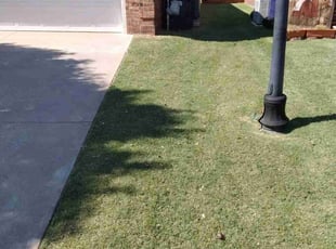 Brian G.'s turf maintenance service result