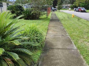 Jason H.'s turf care service result