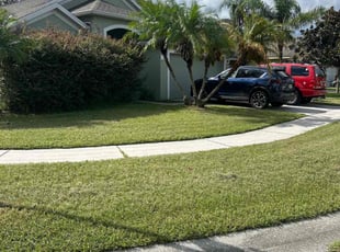 Kenneth A.'s turf care service result