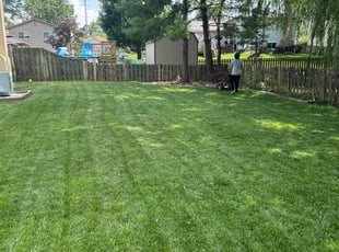 Elliot O.'s lawn service service result
