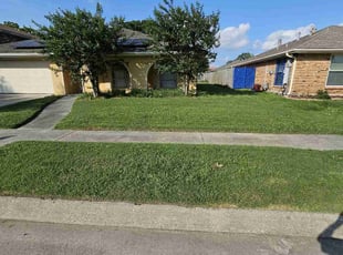 Kim L.'s grass maintenance service result