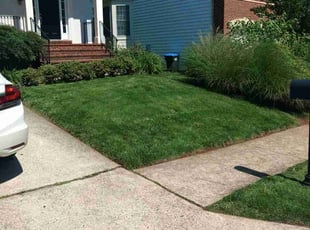 Debi G.'s lawn care service result
