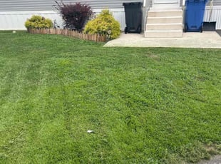 Marc R.'s lawn care services service result