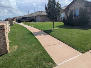 Osariemen O.'s grass cutting service result