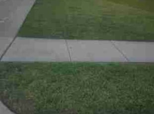 Diana F.'s lawn maintenance service result