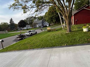 Cindy S.'s grass maintenance service result