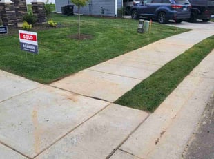 Ramon M.'s lawn care services service result