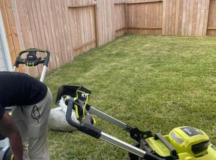 Elsa B.'s grass maintenance service result
