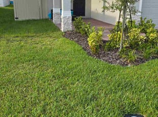 Nhu P.'s turf maintenance service result