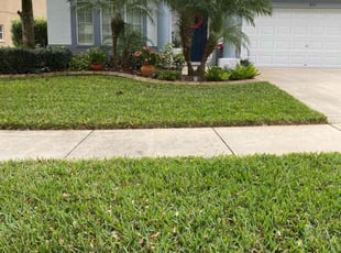 Dwight B.'s lawn care services service result