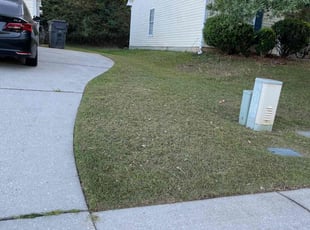 Olivia A.'s grass maintenance service result