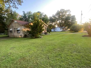 Tanya L.'s turf care service result