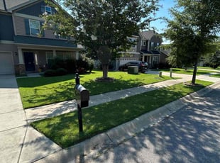 Anna B.'s lawn care services service result