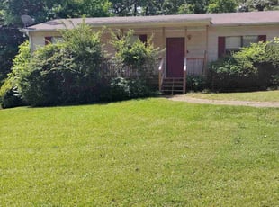 Frank M.'s yard work service result