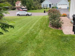 Marie R.'s turf maintenance service result