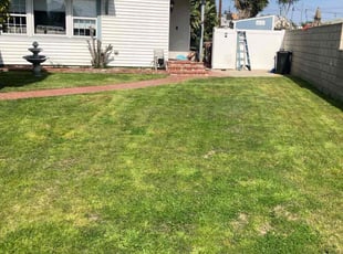 Del C.'s grass cutting service result