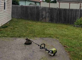 Phyllis B.'s grass cutting service result