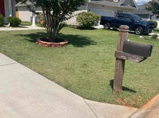 O’Keith W.'s lawn maintenance service result