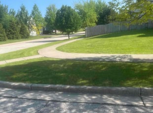 Tori B.'s turf care service result