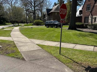 Traci P.'s lawn service service result