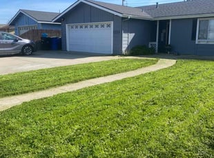 Tylon B.'s lawn care service result