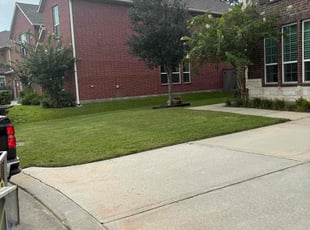 Andrea L.'s turf care service result