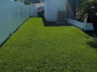 Clara T.'s lawn care service result