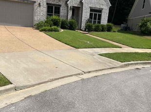 Nicholas P.'s grass cutting service result