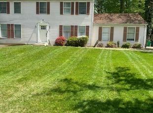 Nakia D.'s lawn care services service result