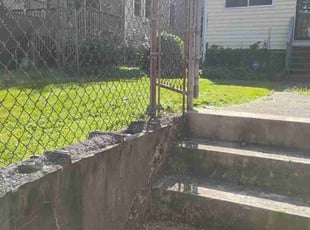 Shamaya W.'s lawn care service result