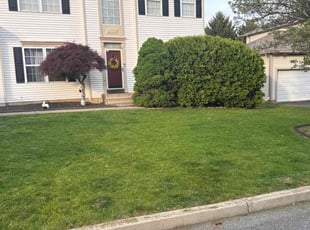 Anita O.'s grass maintenance service result