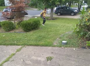 Thomas P.'s Bush Trimming service result