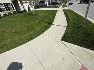 Dorothy R.'s lawn maintenance service result