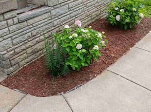 Denise T.'s Flower Bed Weeding service result