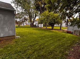 Lauren P.'s grass cutting service result